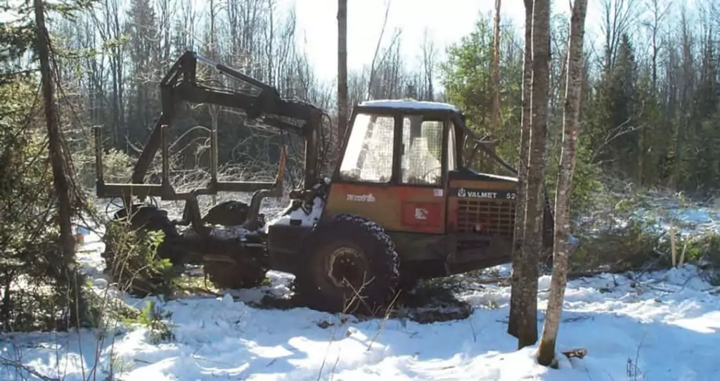 Forestry Department has a Productive Fiscal Year