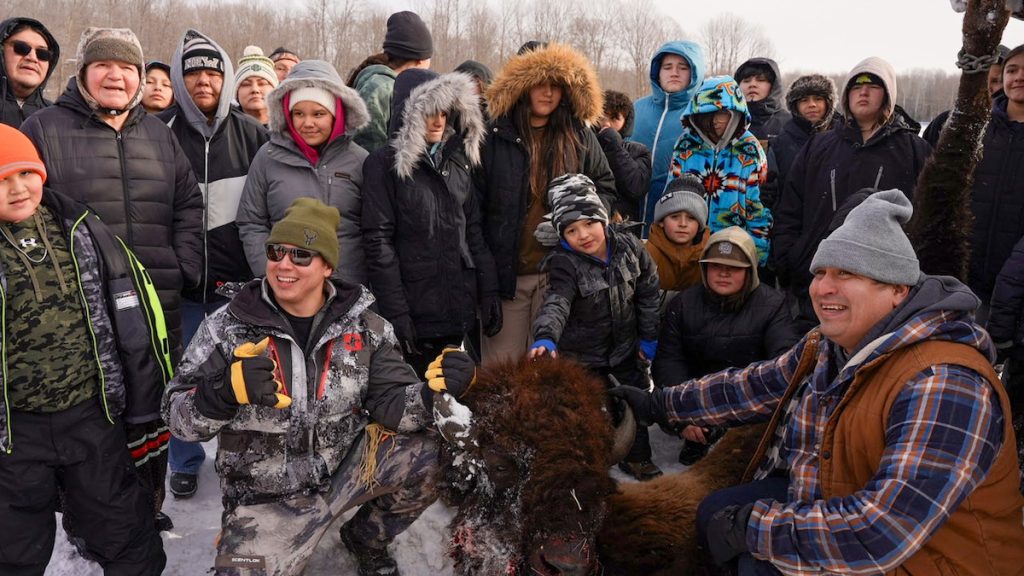 A bison workshop was held at the FCP community Jan. 19-28, 2024. The processing of this bison started at the Bodwéwadmi Ktëgan (Potawatomi Farm), where the bison was harvested.