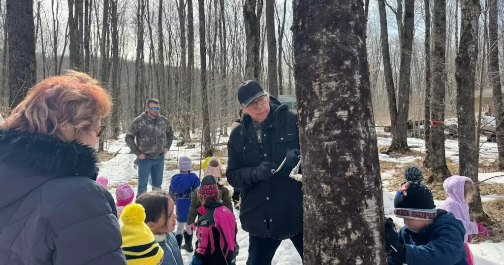 Native Americans were the original maple syrup discoverers and makers. and maple syrup makers long before European settlers arrived in North America.
